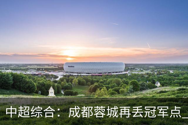 中超综合：成都蓉城再丢冠军点 武汉三镇降级