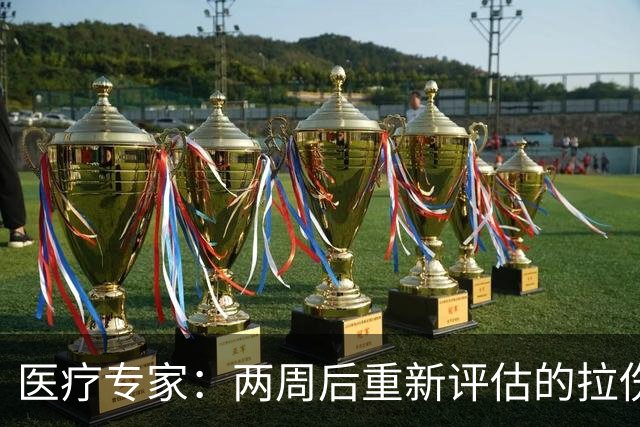 医疗专家：两周后重新评估的拉伤平均伤缺时间2.3周 为7.9场比赛