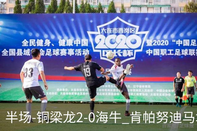 半场-铜梁龙2-0海牛 肯帕努迪马塔破门孙正傲乌龙被吹