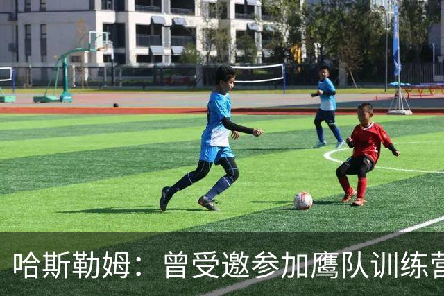 哈斯勒姆：曾受邀参加鹰队训练营，后获热火两年合同