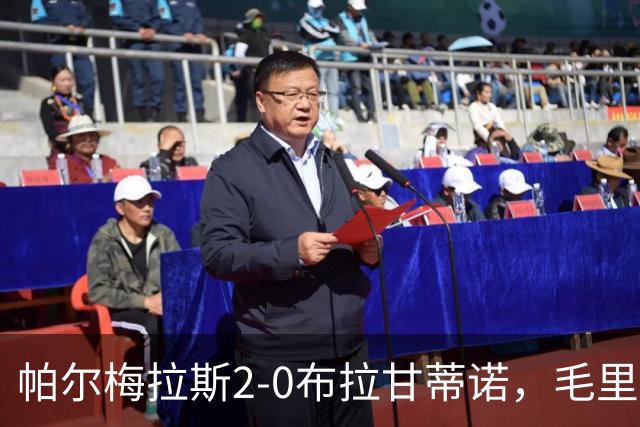 帕尔梅拉斯2-0布拉甘蒂诺，毛里西奥、贾伊破门，索萨失点