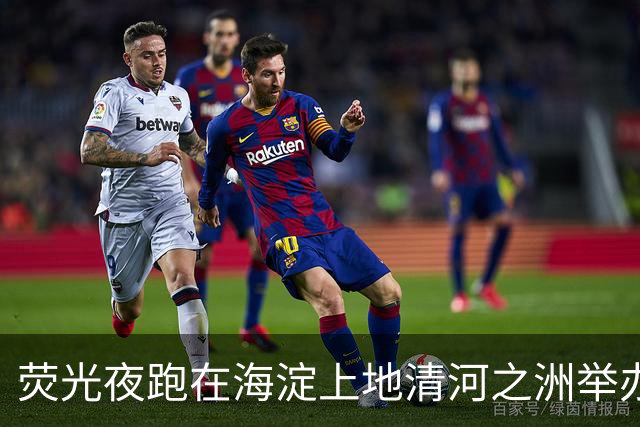 荧光夜跑在海淀上地清河之洲举办，数百人参与、不设竞速排名