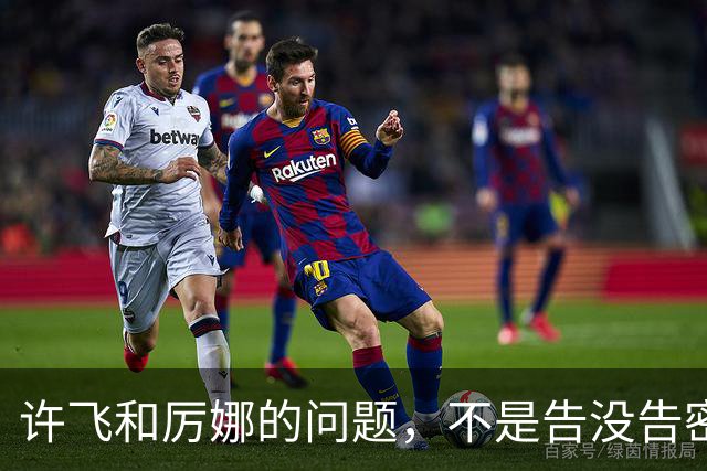 许飞和厉娜的问题，不是告没告密，是记忆混乱